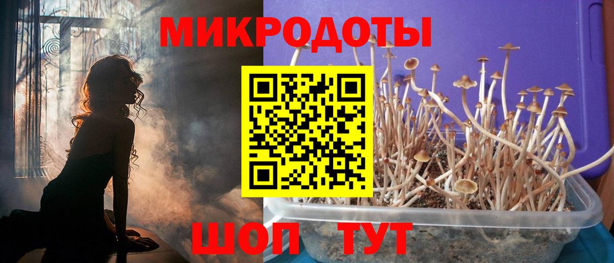 Псилоцибиновые грибы MAGIC MUSHROOMS  Вход с VPN  Алексеевка 